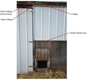 Automatic Chicken Coop Door: DIY Freedom – diytype